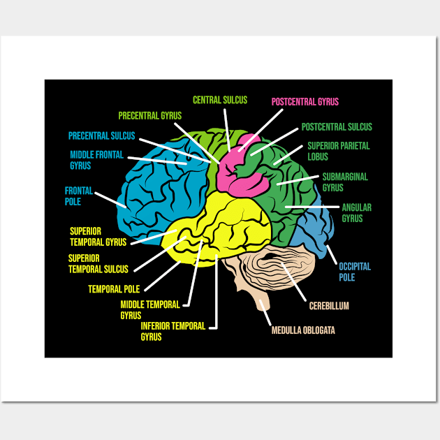 Psychologist Anatomy Funny Psychology Wall Art by QQdesigns